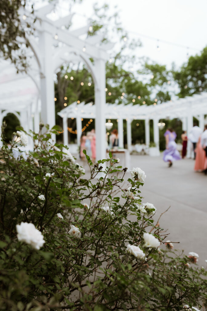 Reception at Haseltine Estate Springfield MO photographed by Katey Sutton